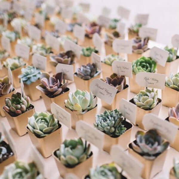 3-Pack Lifelike Sedum Artificial Succulents in Ceramic Pot - Ideal for Home, Office & Events