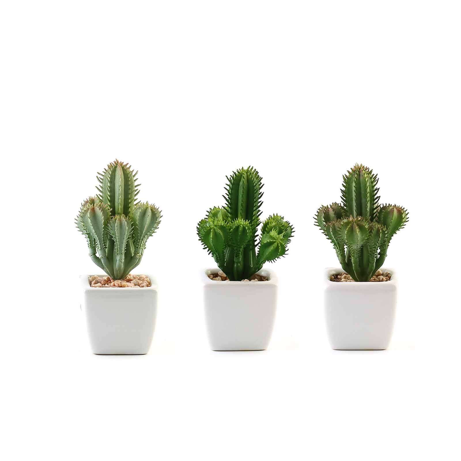 Amazing 3-Pack Artificial Cacti Succulents in Ceramic Pots for Home, Office & Event Decor
