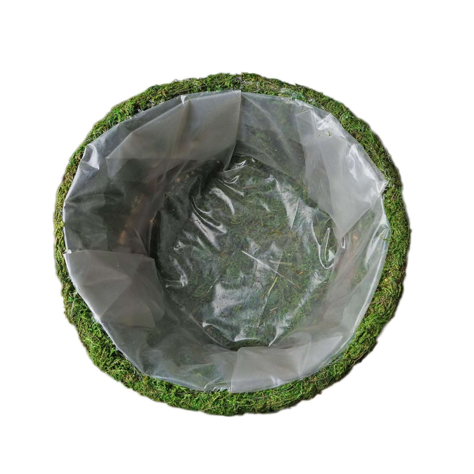 Set of 2 Green Preserved Moss Teacup Planter Boxes with Twine for Decor