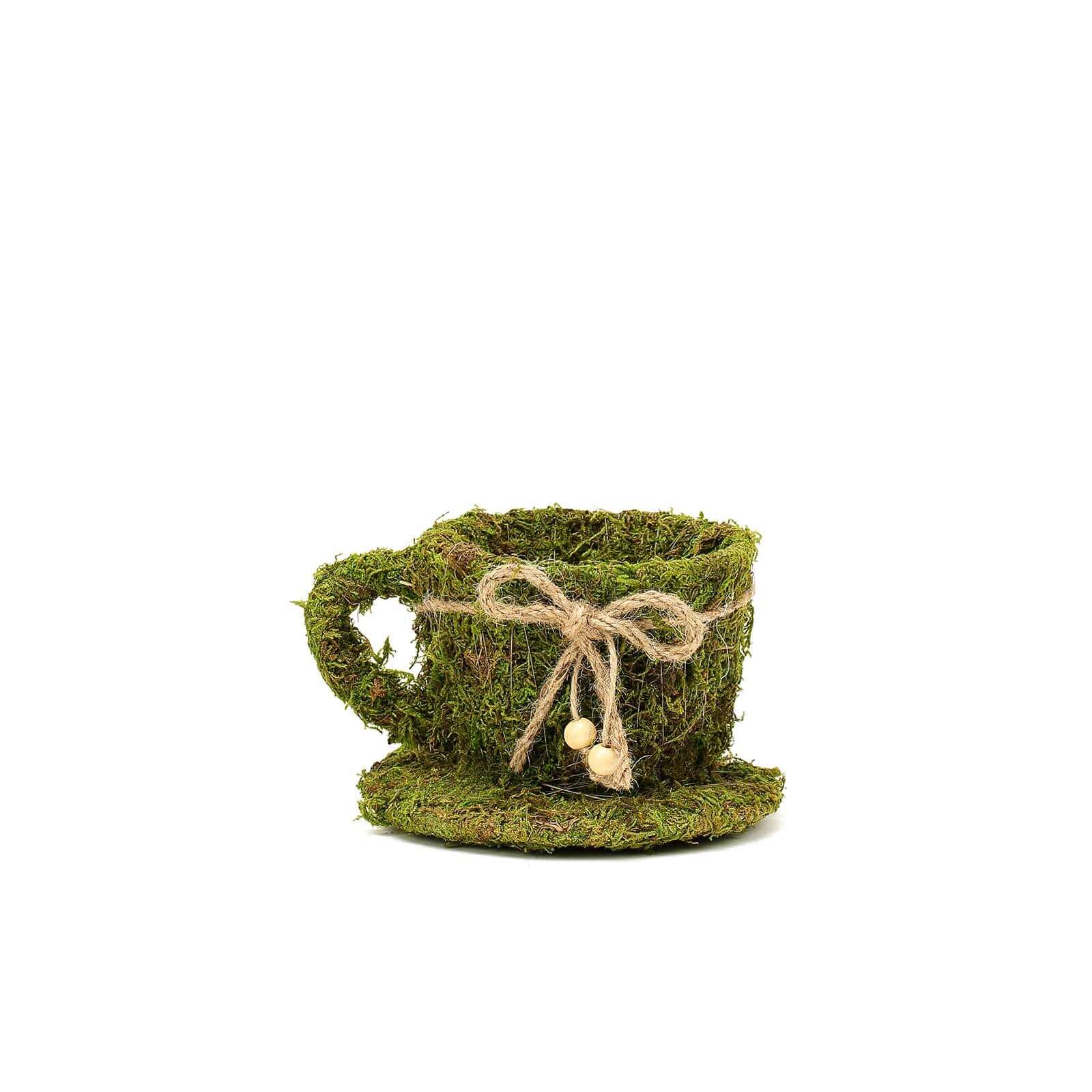 Set of 2 Green Preserved Moss Teacup Planter Boxes with Twine for Decor